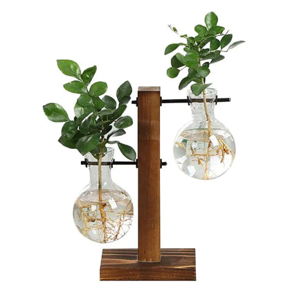 Creative Glass Desktop Planter Bulb Vase Wooden