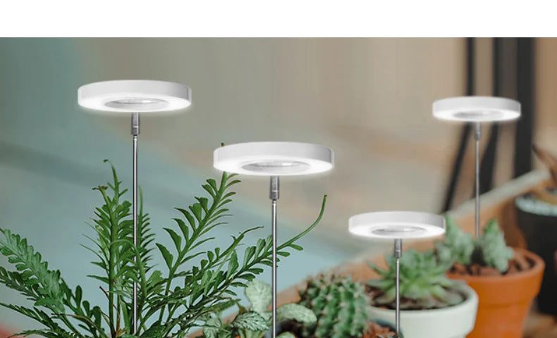 Full Spectrum Indoor Solar LED Growth Light