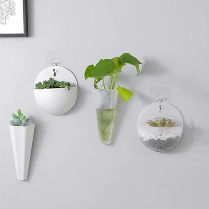 Chic Hanging Plant Holder