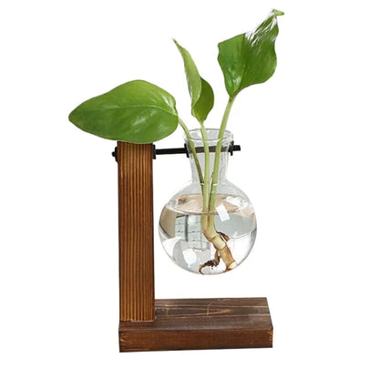 Creative Glass Desktop Planter Bulb Vase Wooden